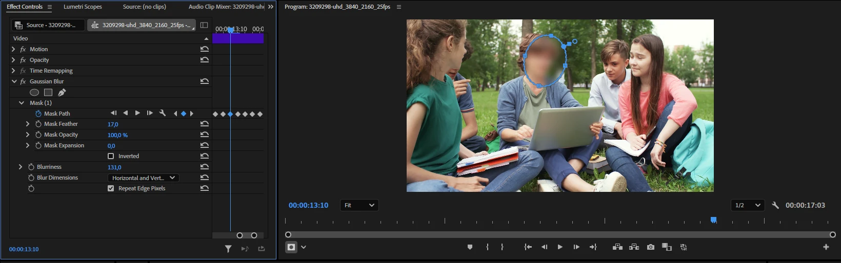 Blur a Face in a Video using Adobe Premiere Pro