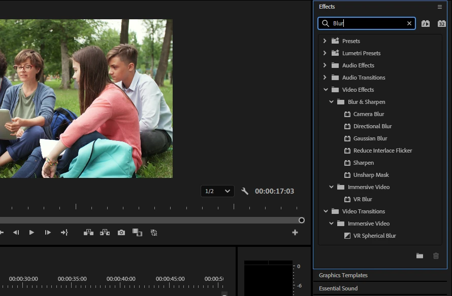 Blur a Face in a Video using Adobe Premiere Pro