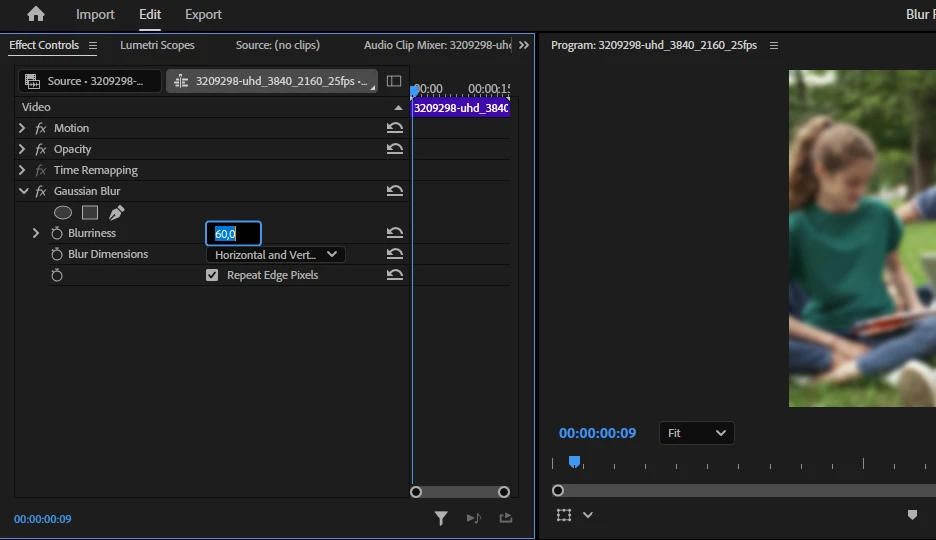 Blur a Face in a Video using Adobe Premiere Pro