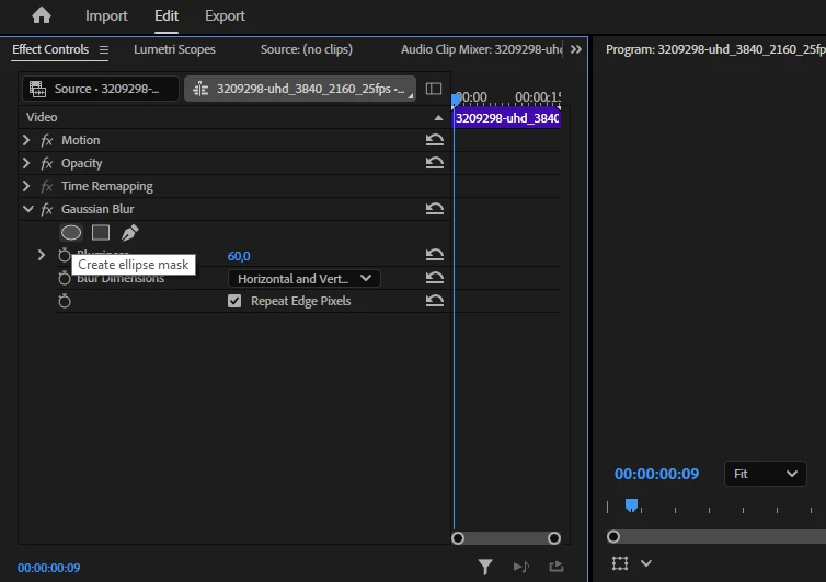 Blur a Face in a Video using Adobe Premiere Pro
