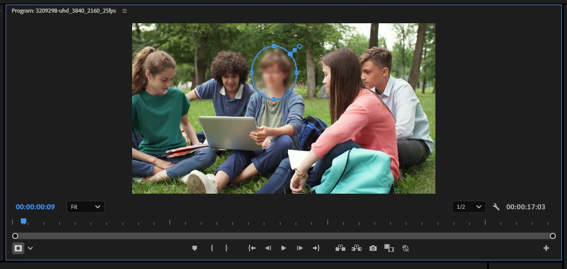 Blur a Face in a Video using Adobe Premiere Pro