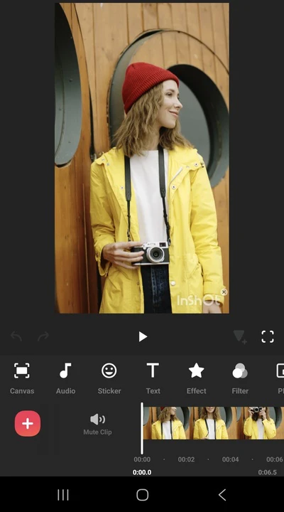 Blur a Face in a Video using InShot