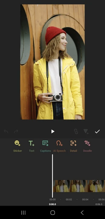 Blur a Face in a Video using InShot