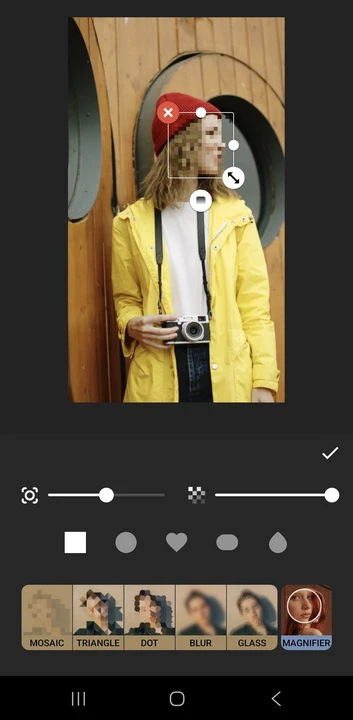 Blur a Face in a Video using InShot