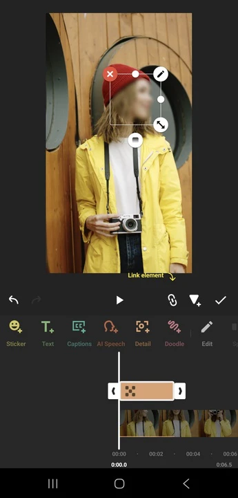 Blur a Face in a Video using InShot