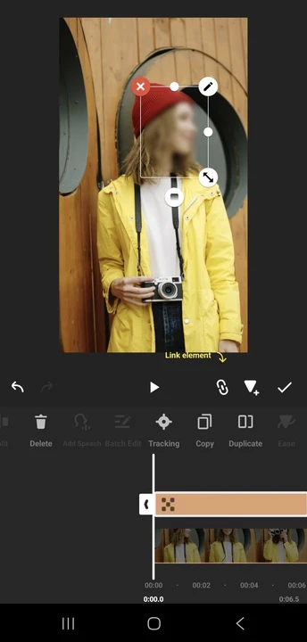 Blur a Face in a Video using InShot