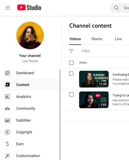 Blur a Face in a Video using YouTube Studio