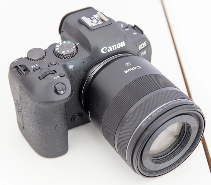 Canon EOS R8 & R6 - Cheap Cameras for Beginners