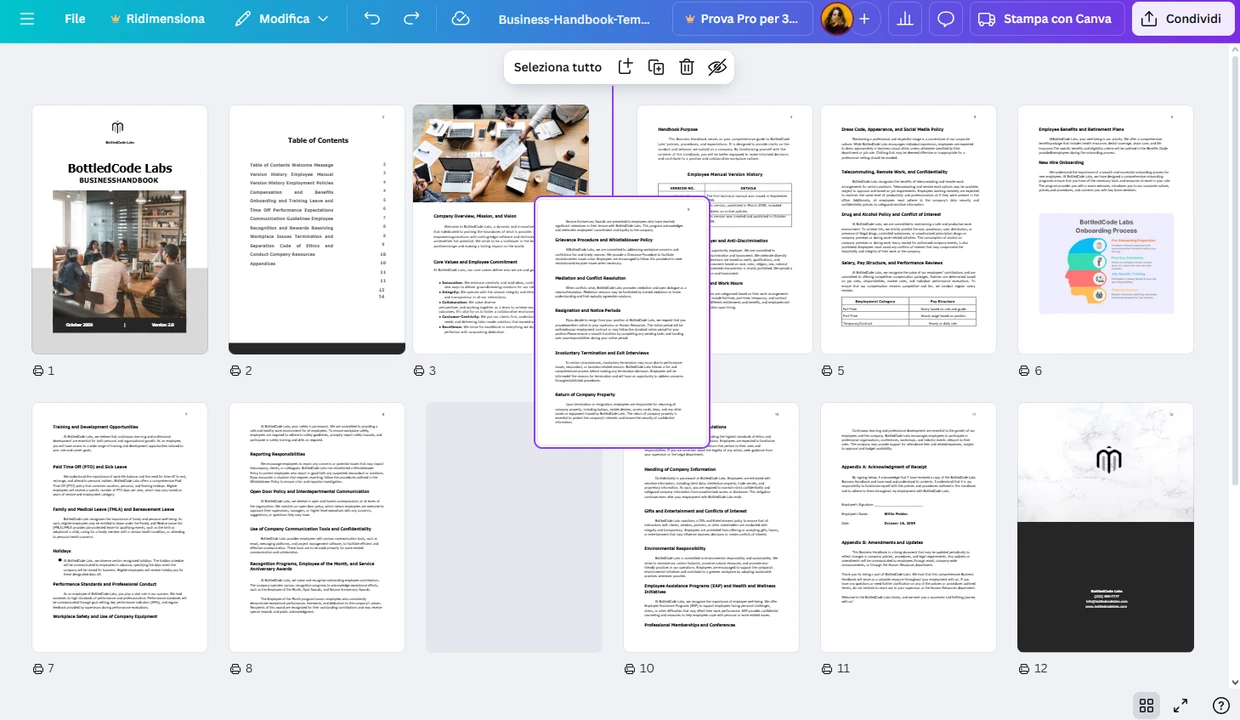 pdf  canva