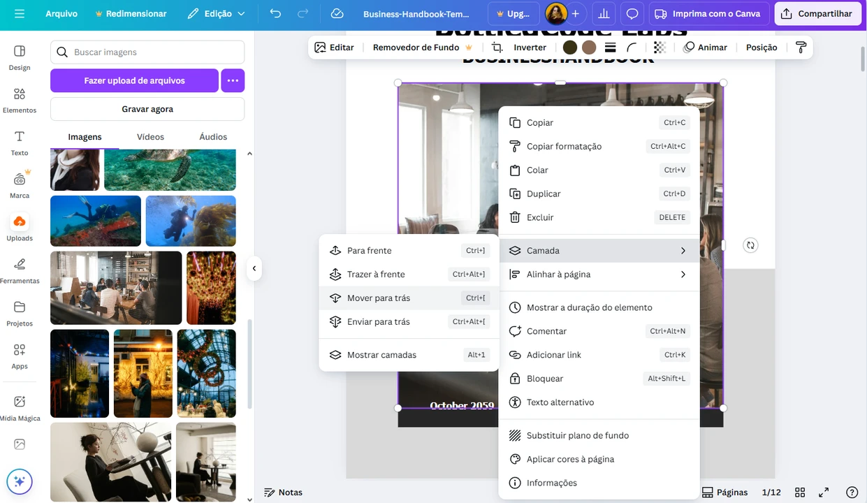 editar pdf canva
