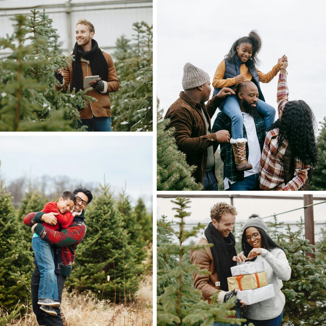 Christmas Photoshoot Ideas - Christmas Tree Farm