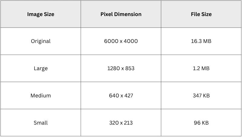 how to compress an image on mac by resizing