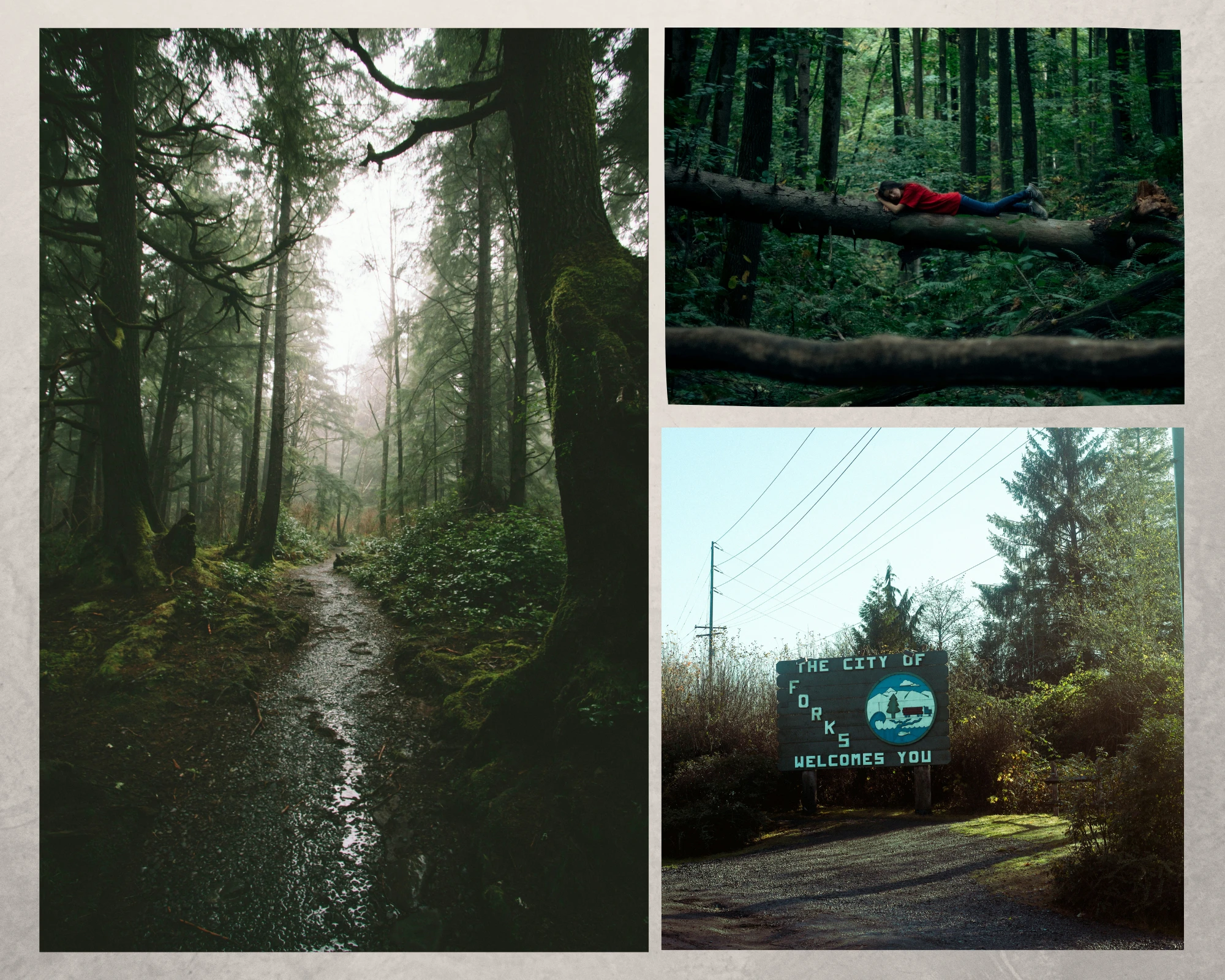 Fall Photoshoot Ideas - Twilight