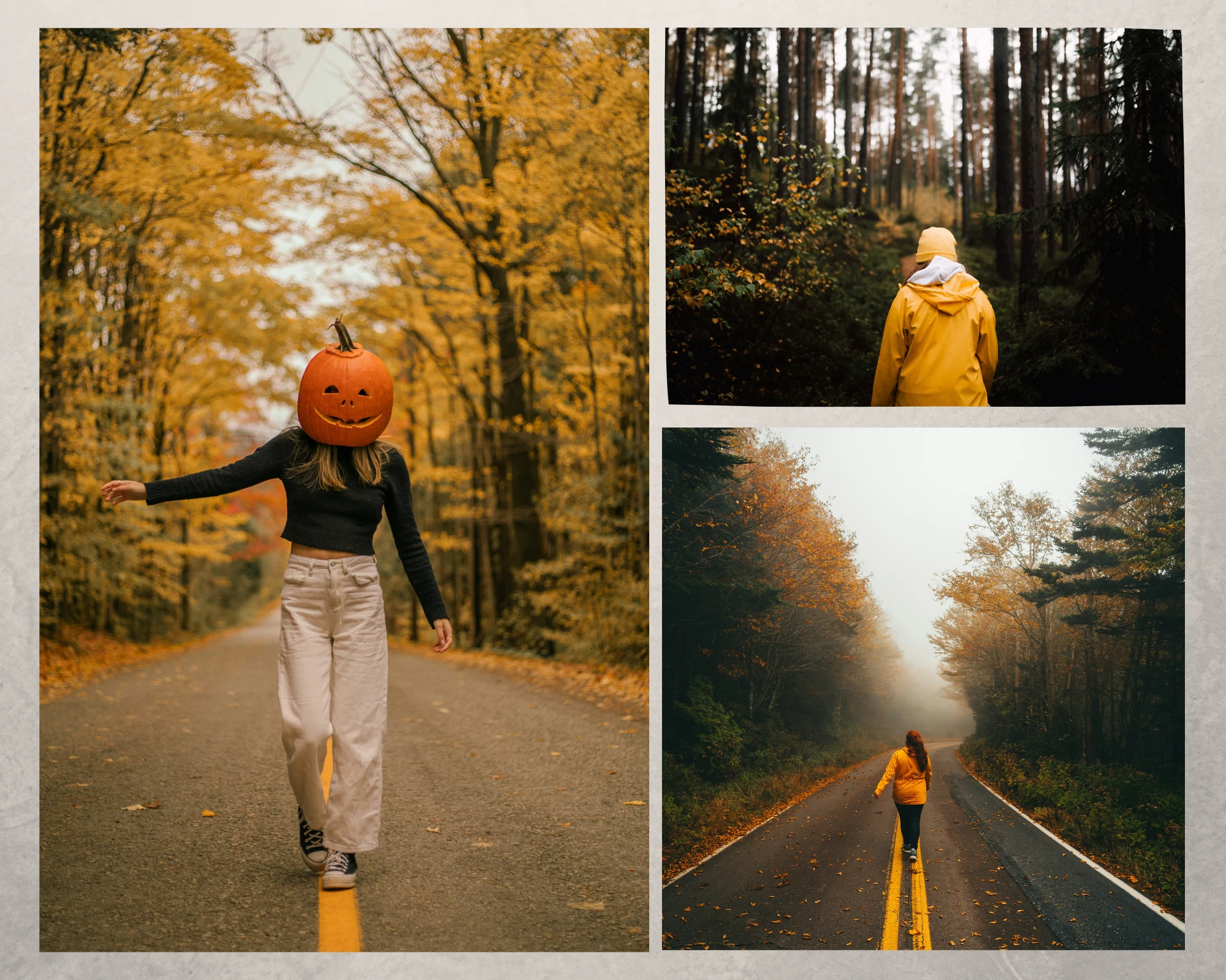 Fall Photoshoot Ideas - A fall road or walkway