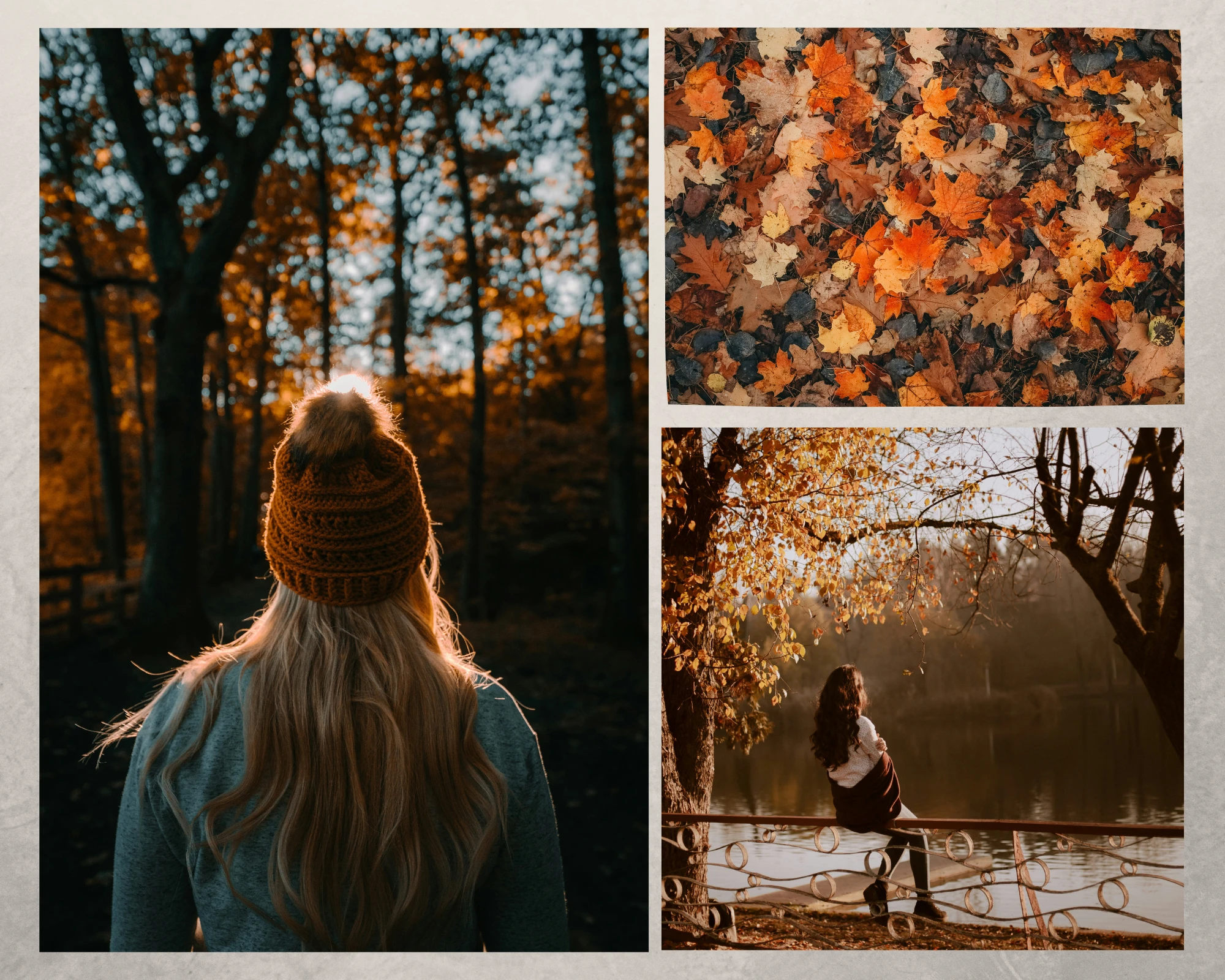 Fall Photoshoot Ideas - Golden hour