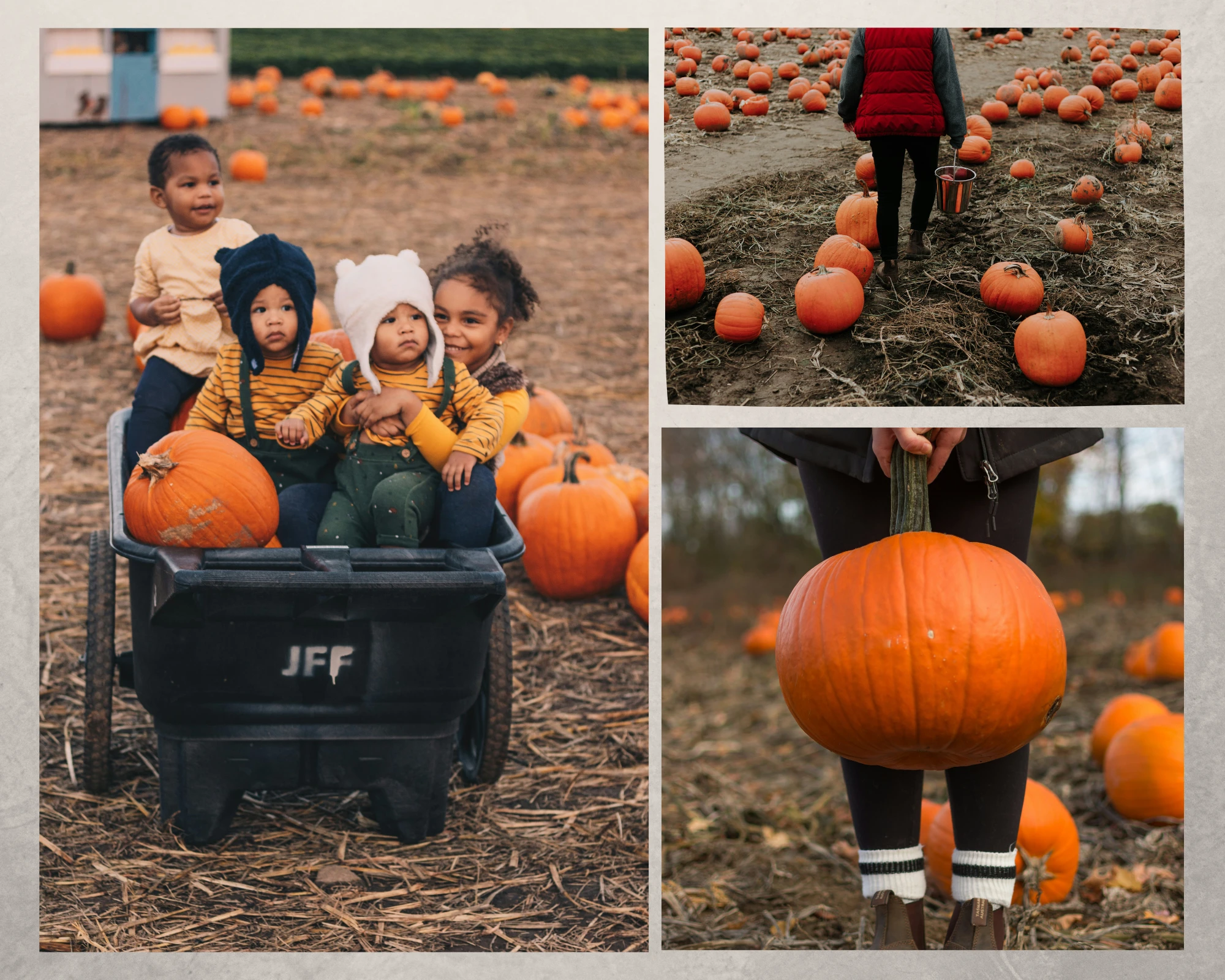 Fall Photoshoot Ideas - Pumpkin patch