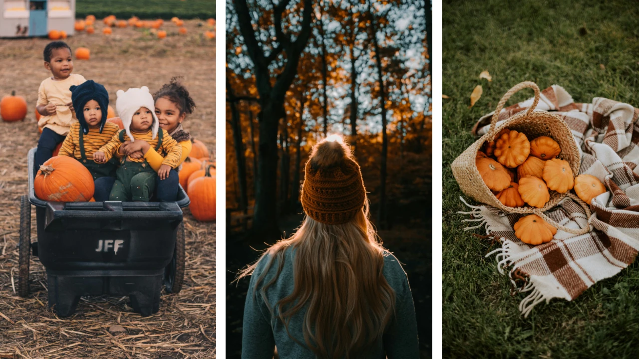 14 Fun & Creative Fall Photoshoot Ideas 