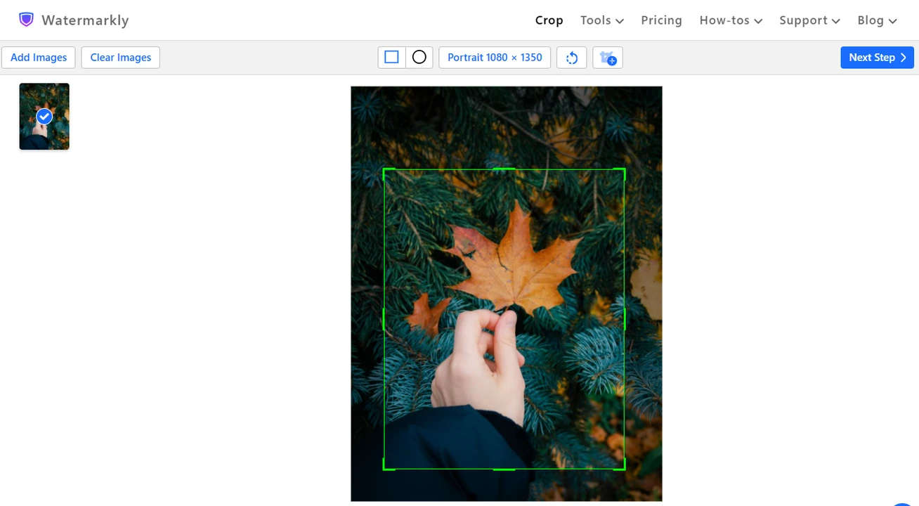Optimize content for Instagram