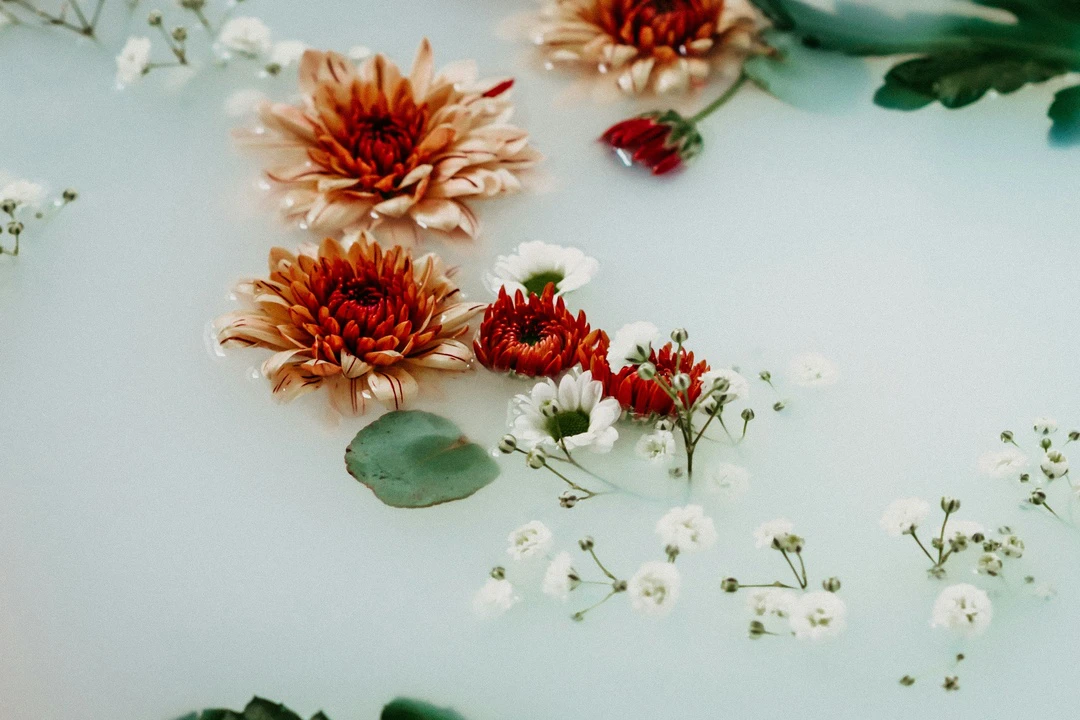 Milk Bath Photography tips