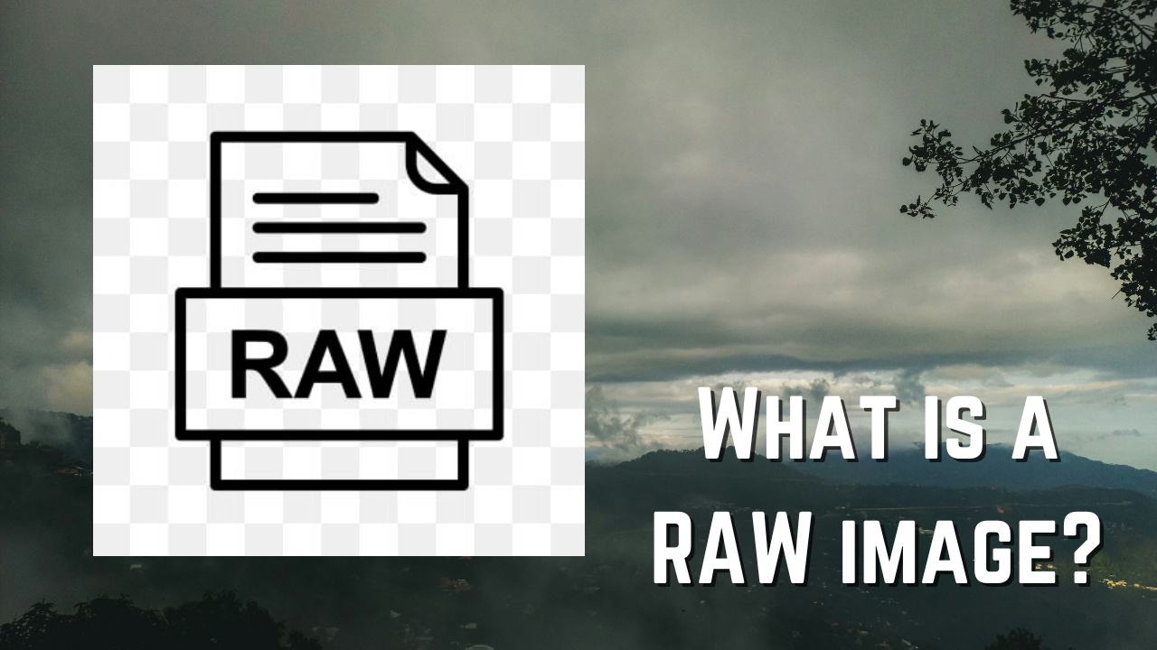 what is raw image
