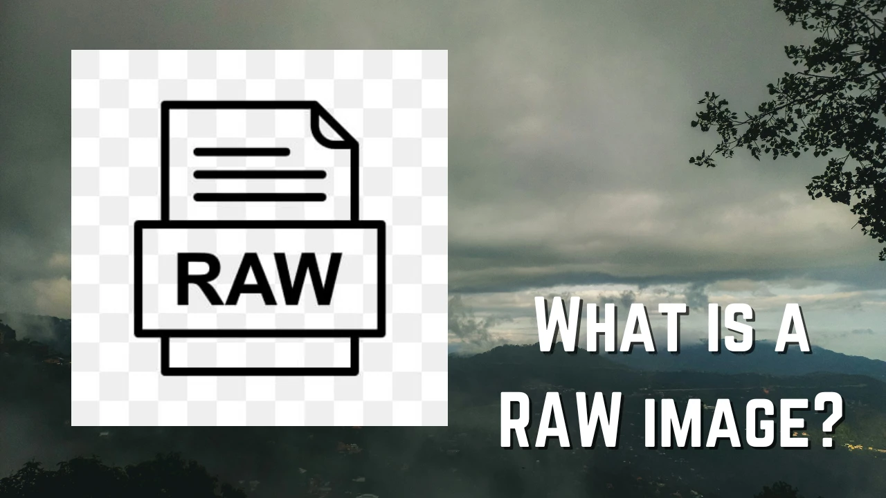 What Is a RAW Image? What Is a RAW Image?