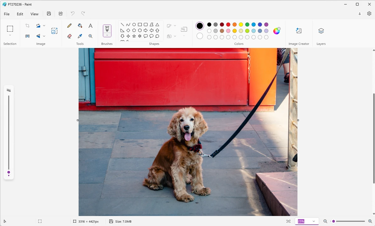 How to Resize an Image in Paint