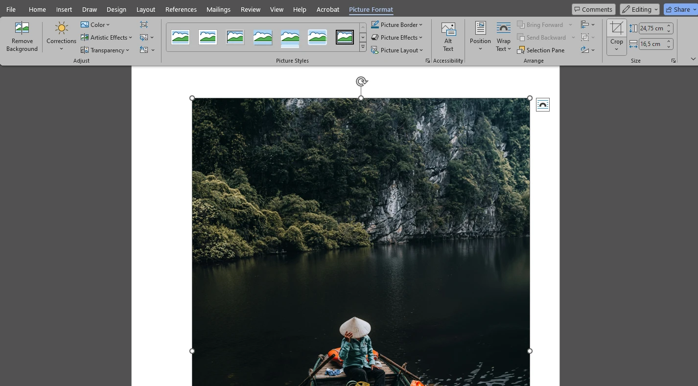 how to crop an image in word