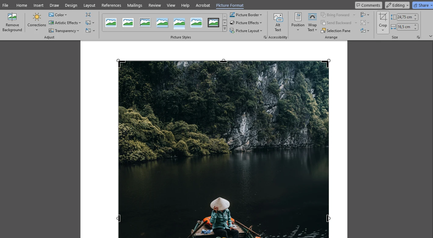 crop an image in word