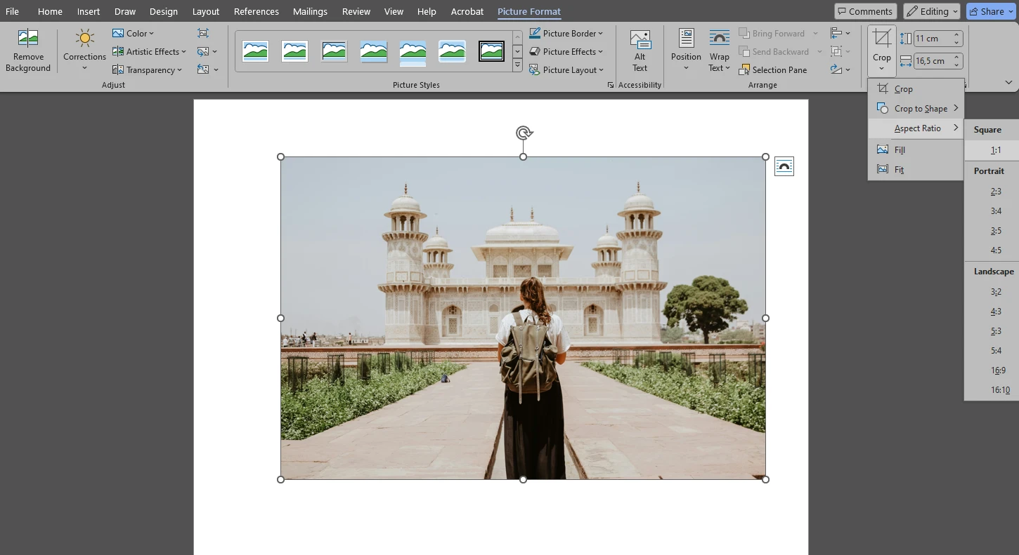 How to Crop an Image in Word to a Specific Aspect Ratio