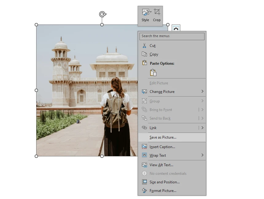 How to Crop an Image in Word to a Specific Aspect Ratio