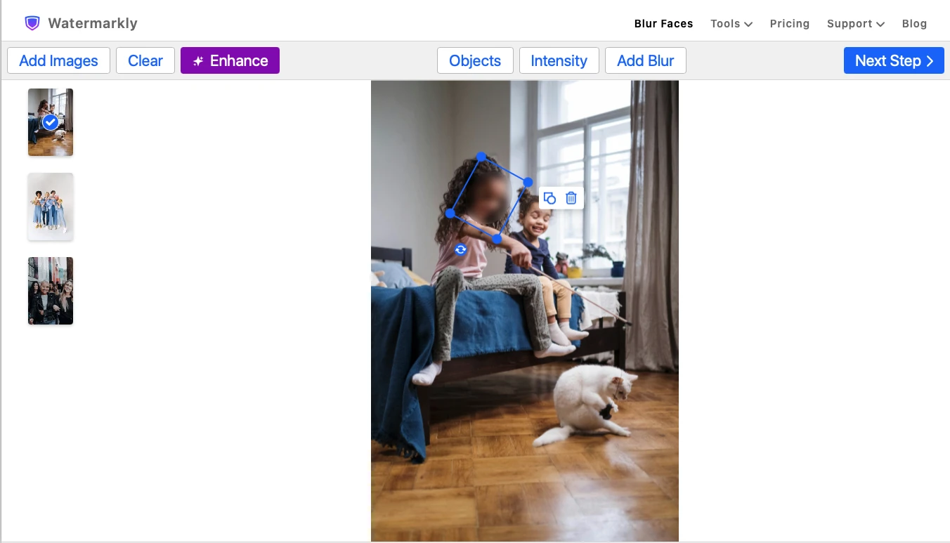 how to blur a face in a picture