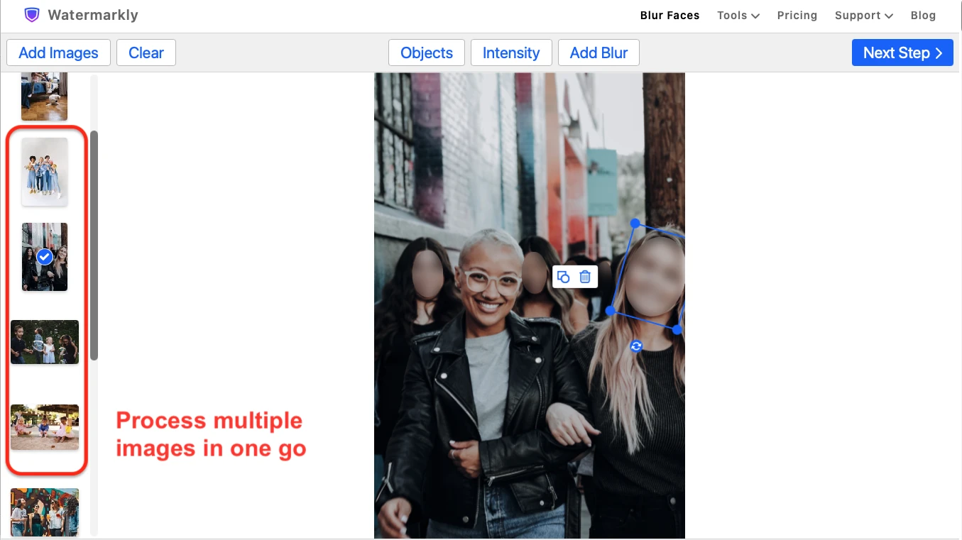 face blur app