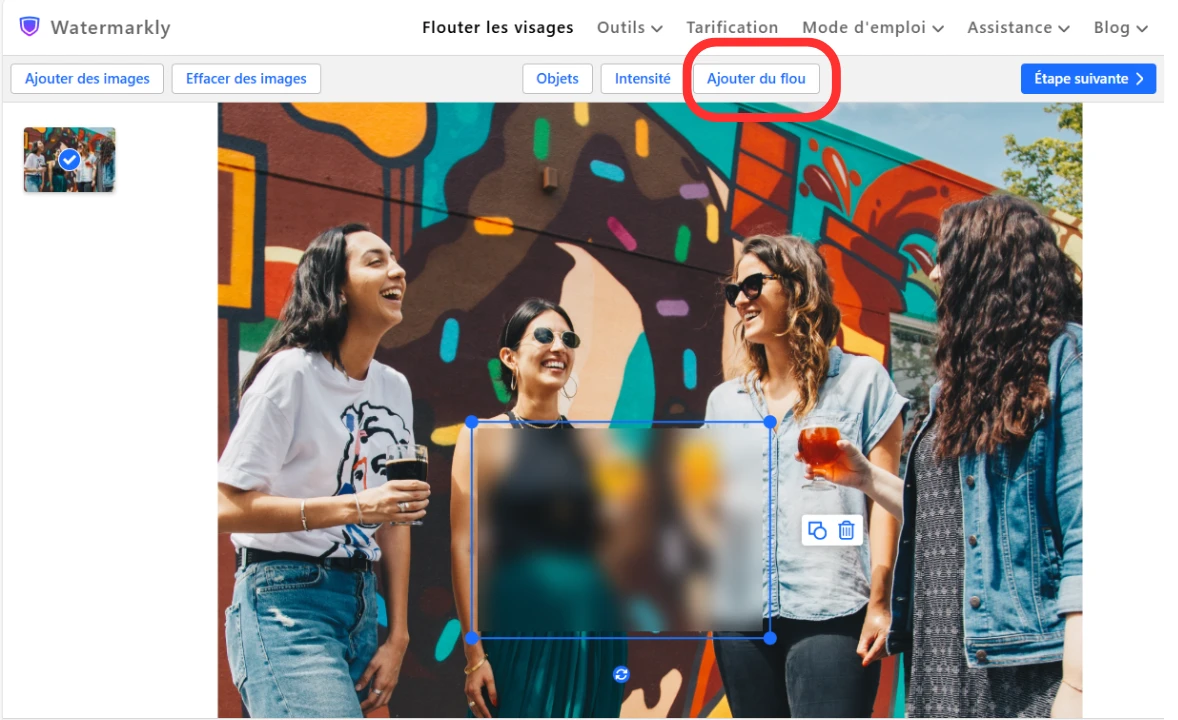 flouter une photo en ligne