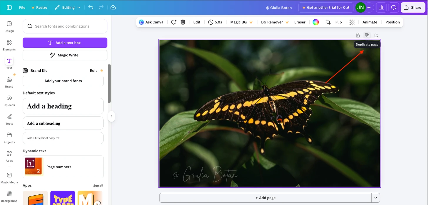 How to Add a Watermark in Canva to Multiple Photos