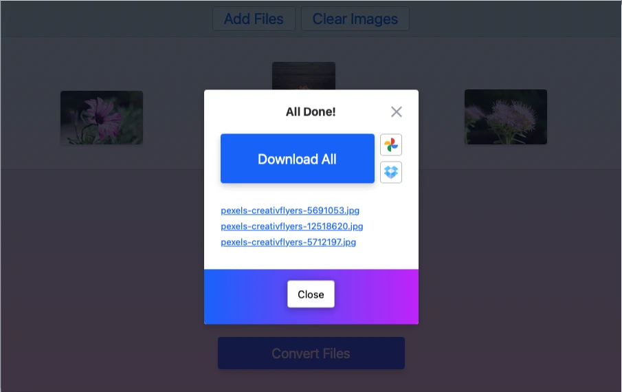 konverter webp ke jpg