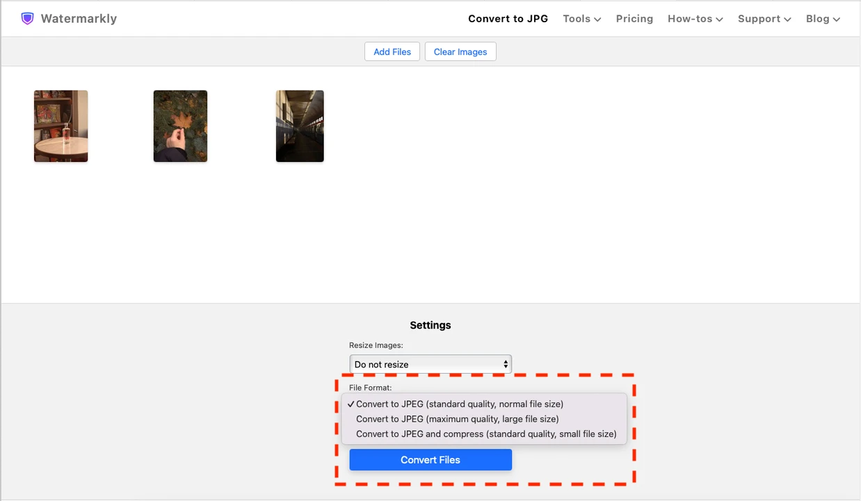 raw to jpg converter