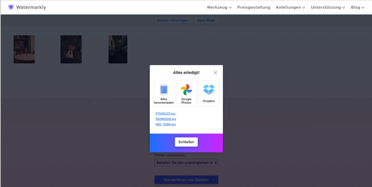 raw in jpg umwandeln