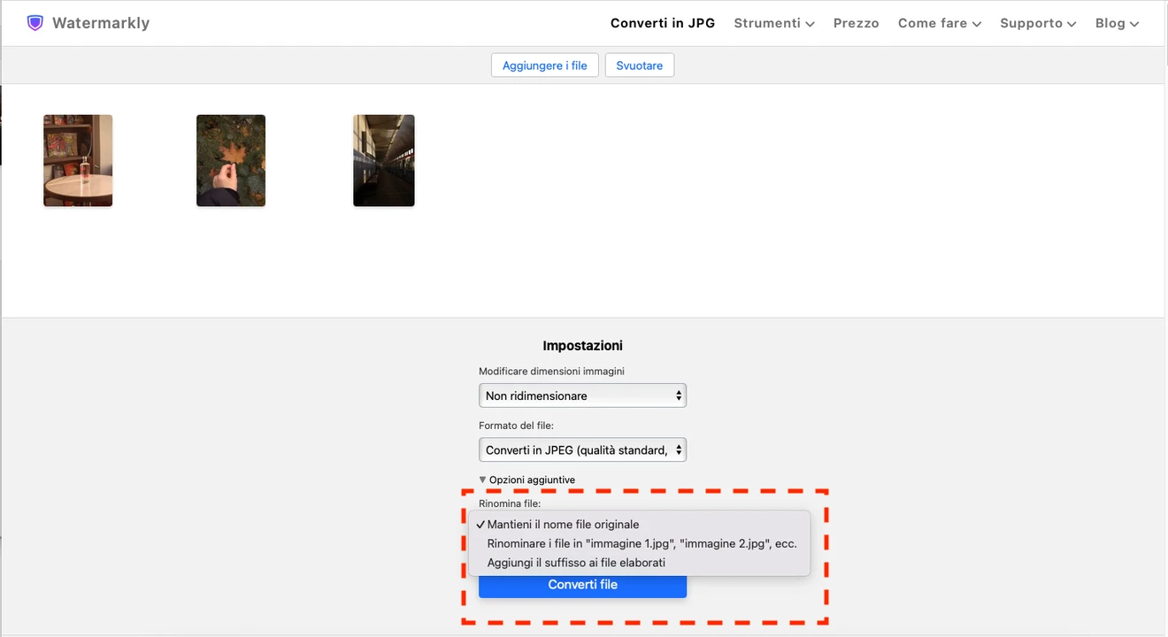 convertire raw in jpg