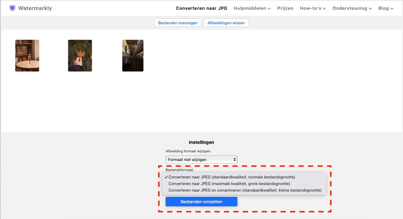 raw to jpg converter