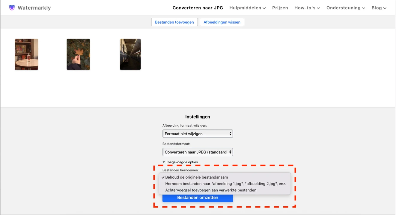 RAW naar JPG converteren