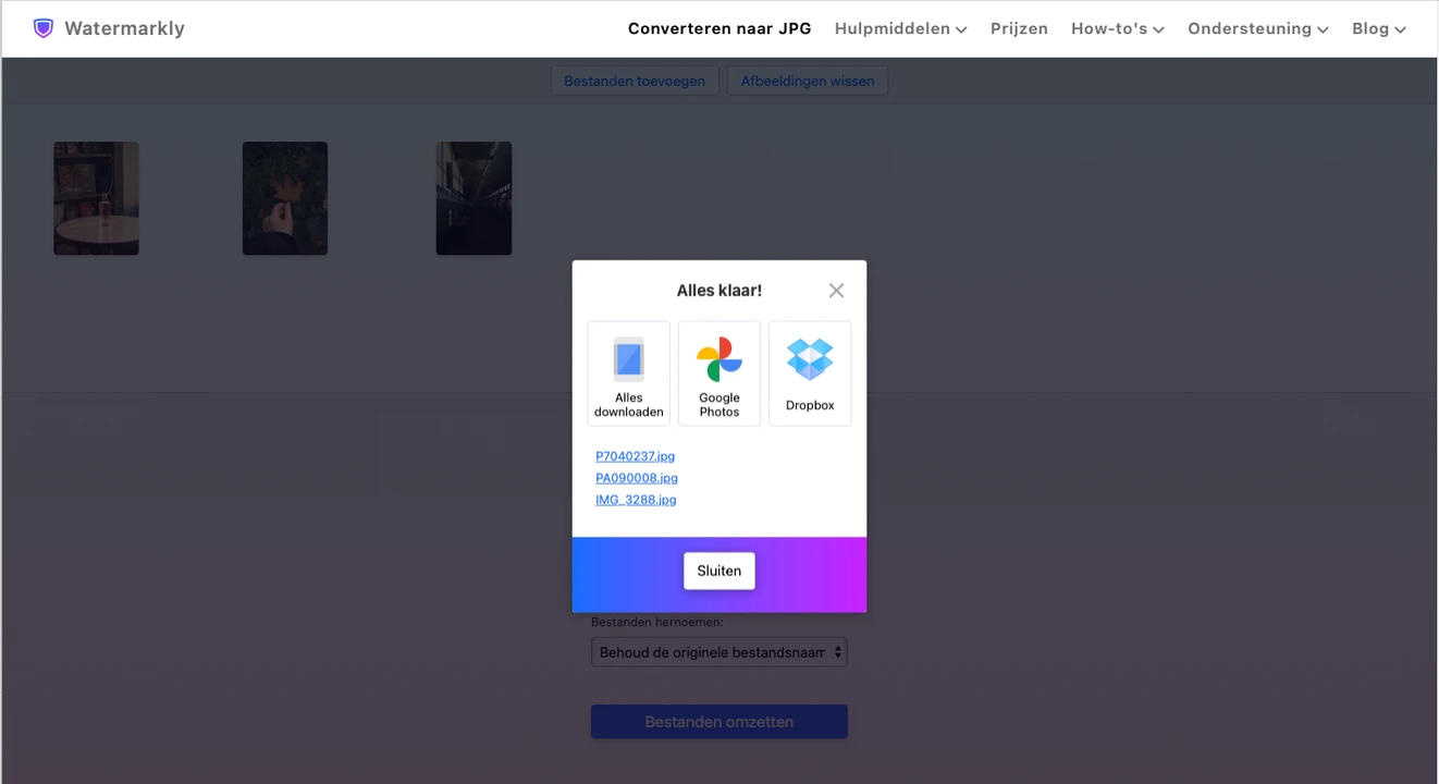 RAW naar JPG converteren