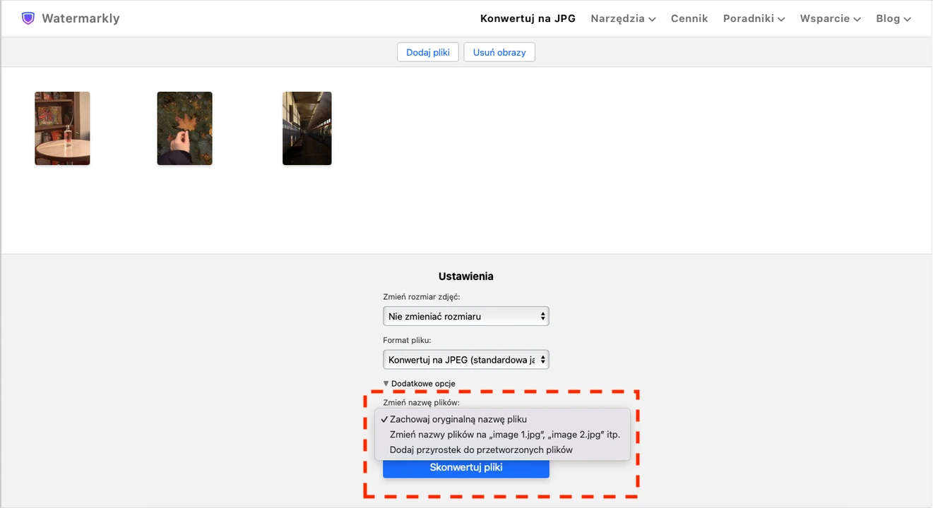 konwerter raw na jpg