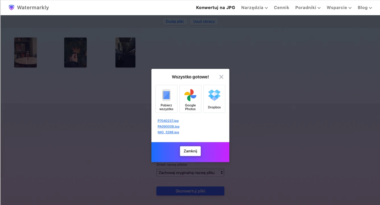 konwerter raw na jpg