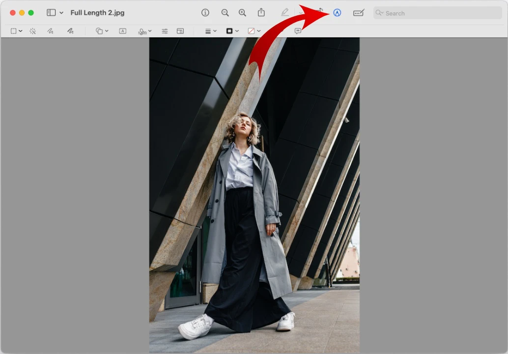 How To Crop A Photo On Mac Watermarkly