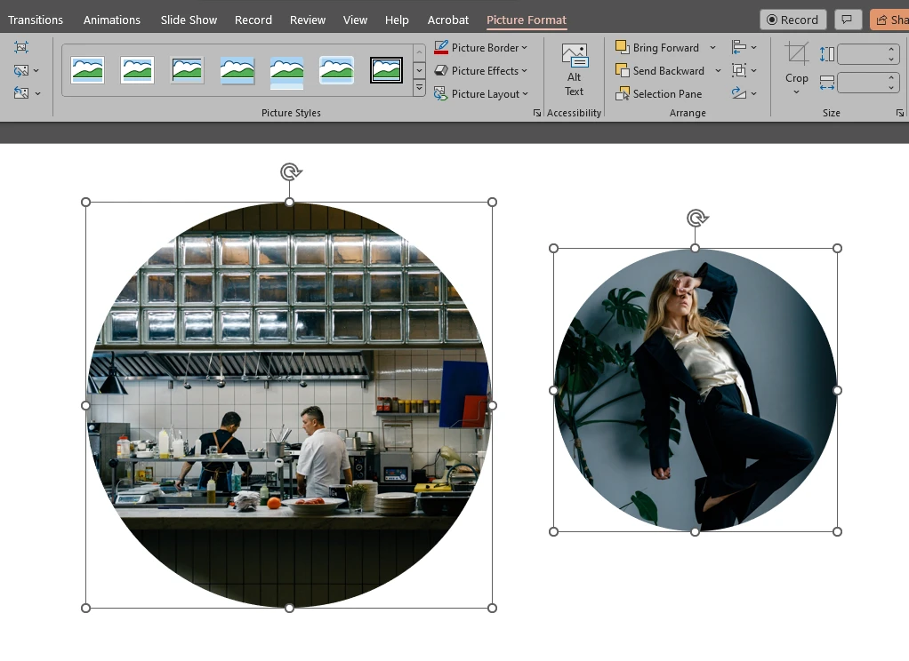 crop pictures into a circle in PowerPoint