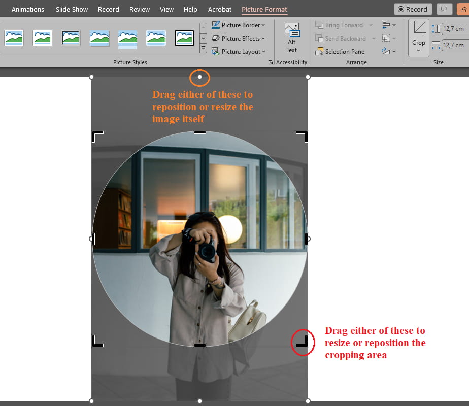 So schneiden Sie ein Bild in PowerPoint zu einem Kreis zu