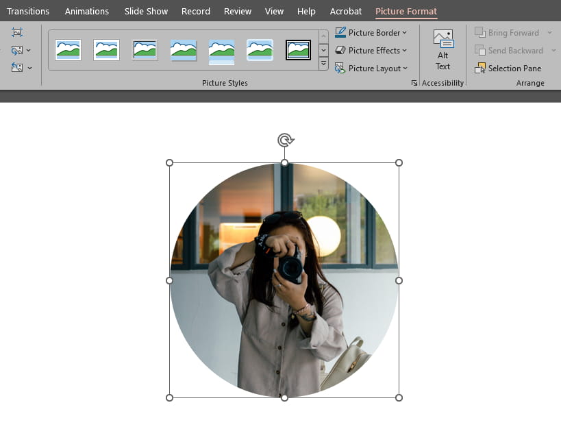 So schneiden Sie ein Bild in PowerPoint zu einem Kreis zu