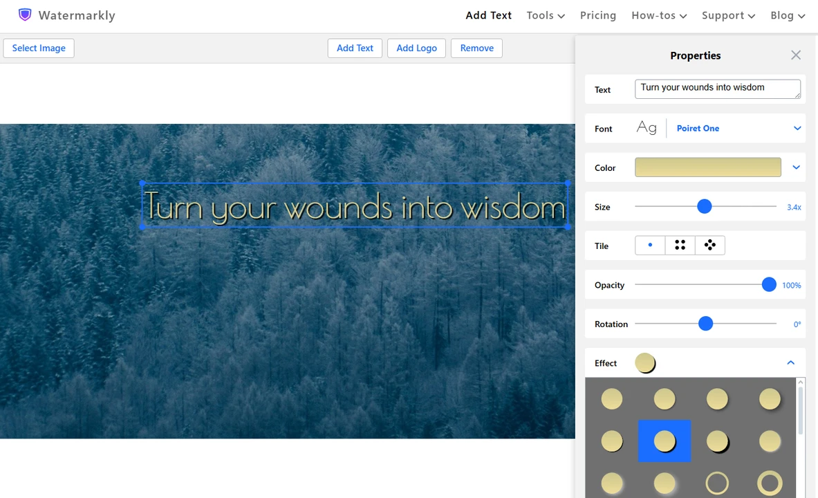 add text to image watermarkly