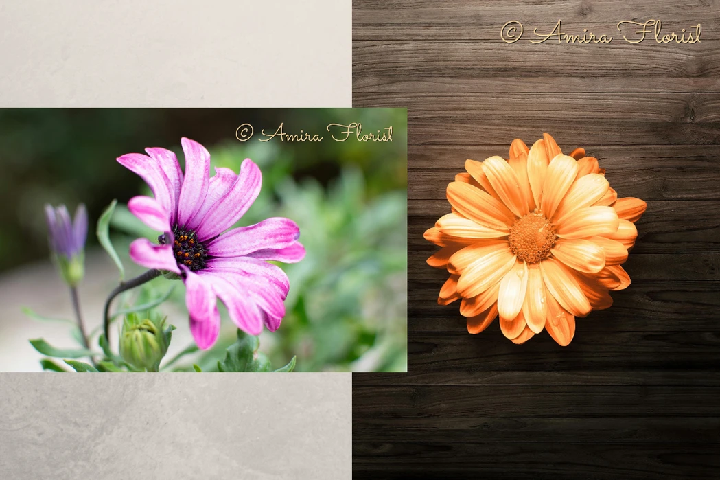 add watermark to image