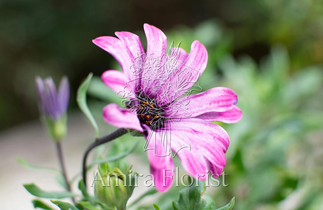 how to make a watermark